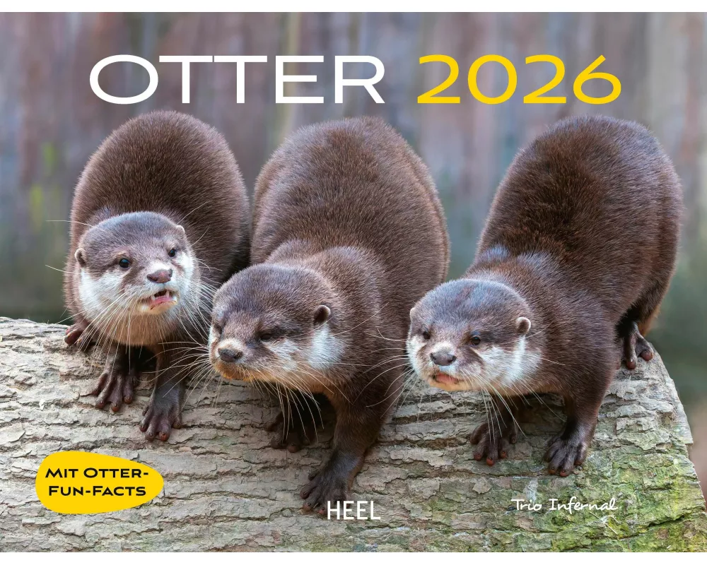 Otter Kalender 2026 Wandkalender Eintragkalender