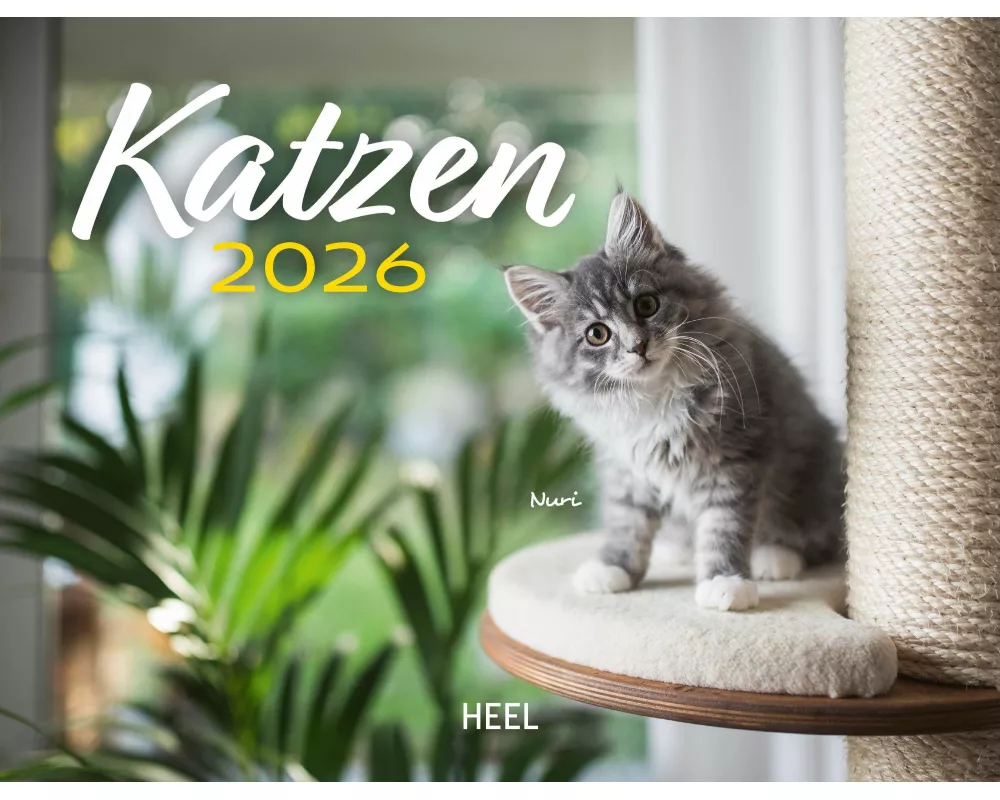 Kalender Katzen 2026 Eintragkalender