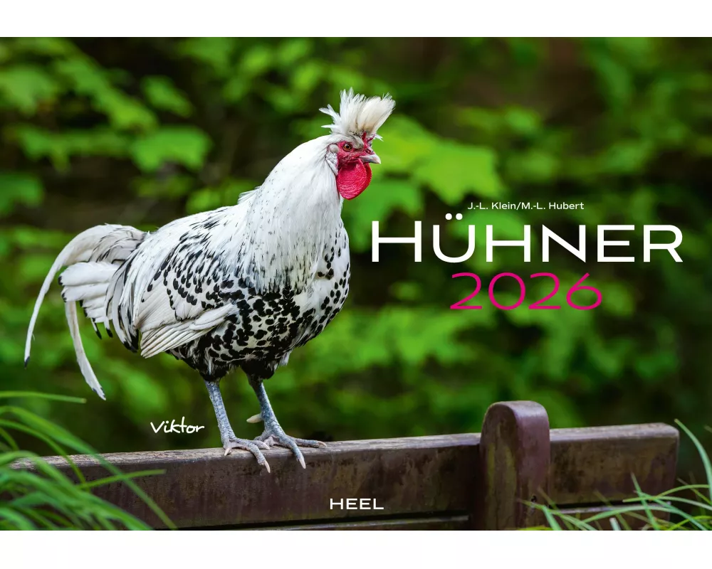 Hühner Kalender 2026