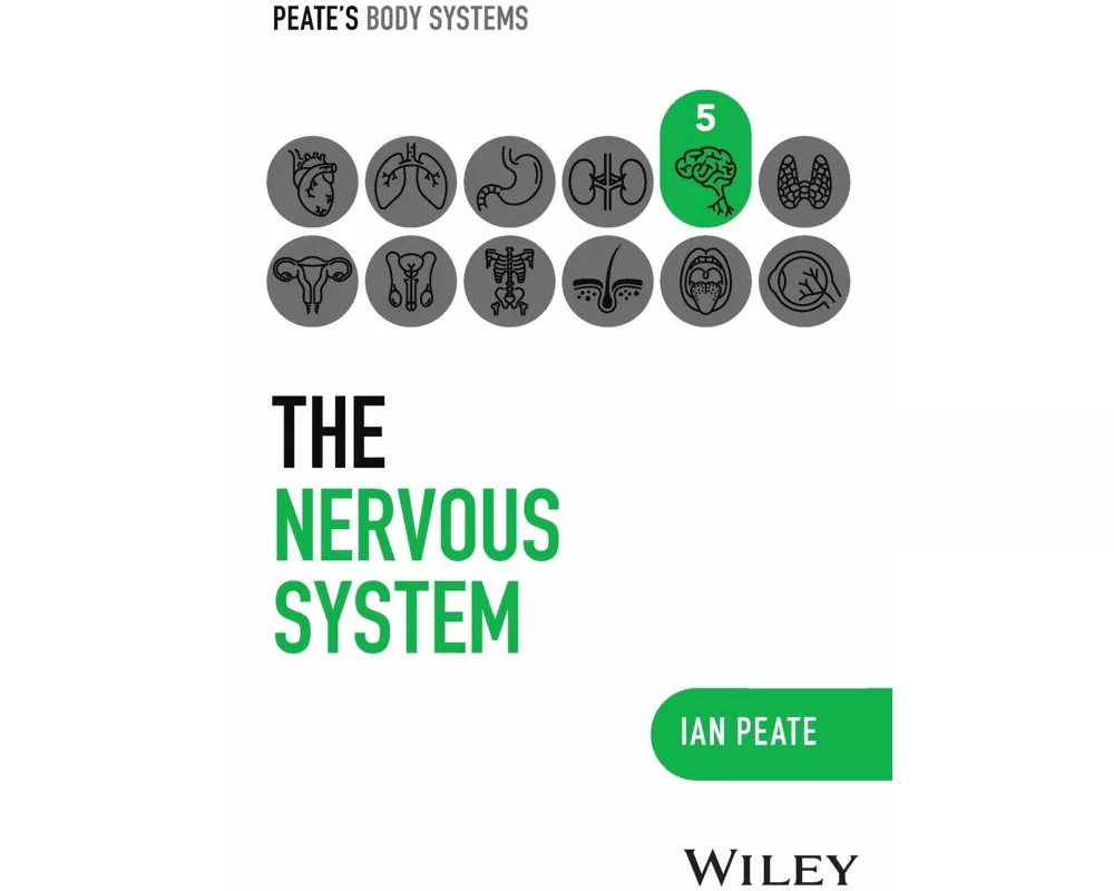 The Nervous System