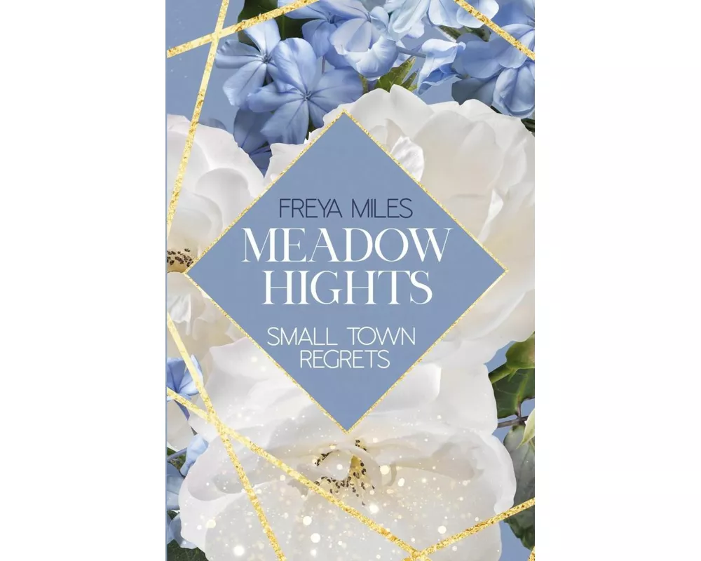 Meadow Hights: Small Town Regrets