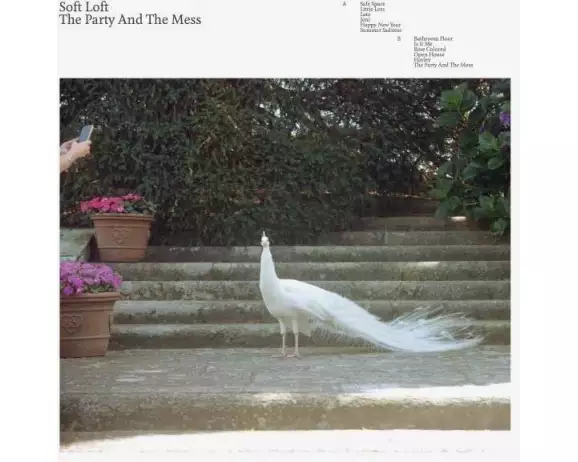 The Party And The Mess