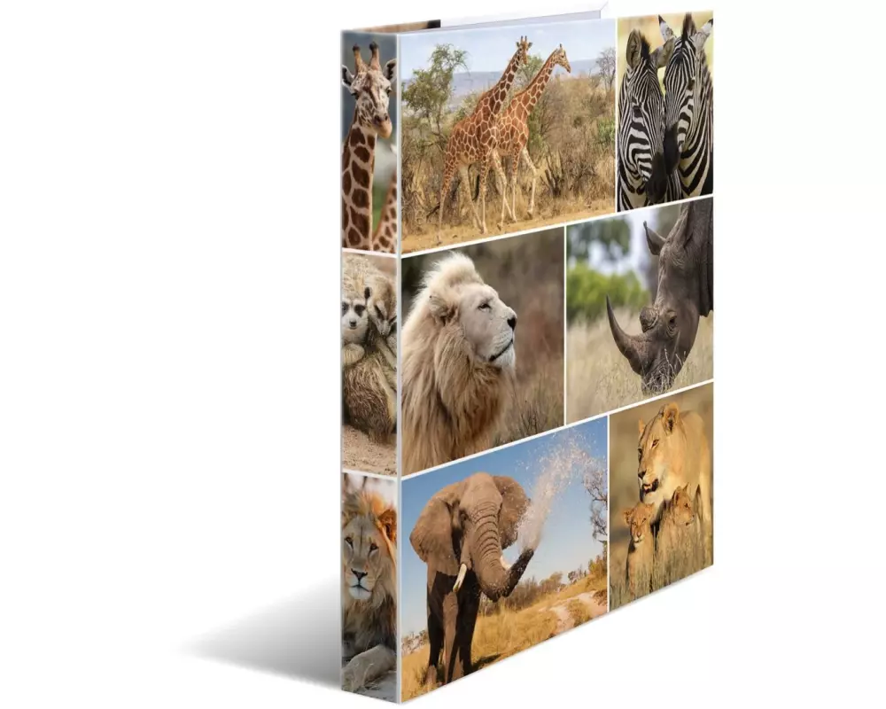 HERMA Ringbuch Afrika 4-Ring 3.5 cm