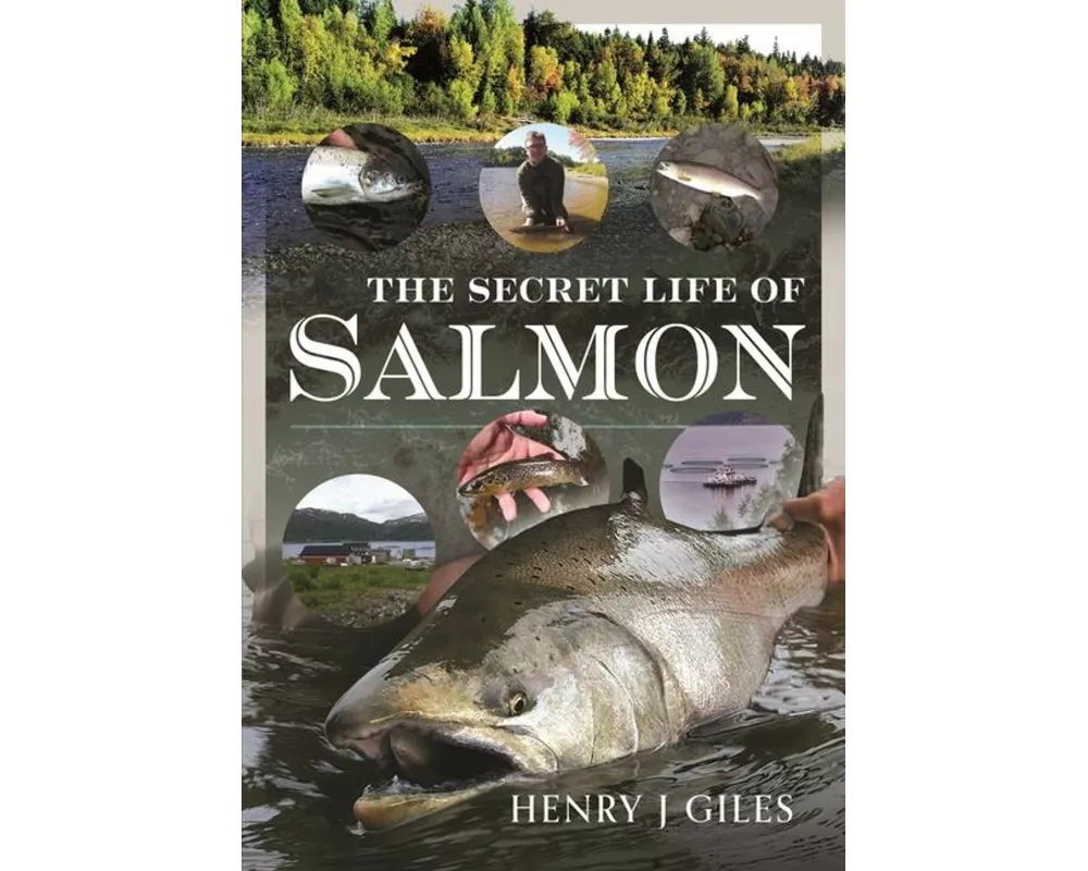 The Secret Life of Salmon