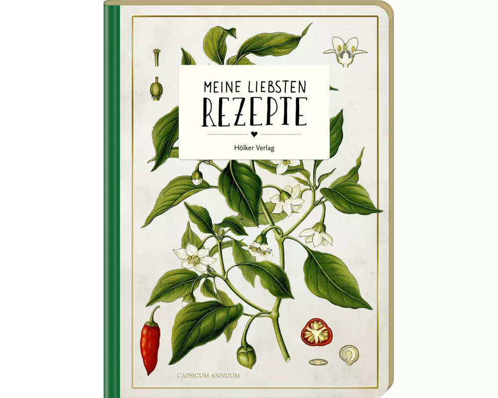 Meine liebsten Rezepte - Wildkräuter