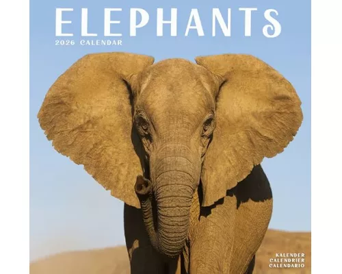 Elephants Calendar 2026 Square Wildlife Safari Wall Calendar - 16 Month
