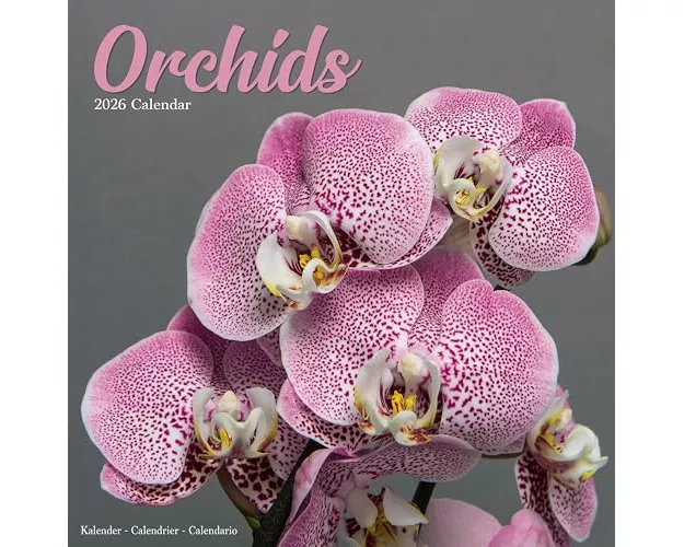 Orchids Calendar 2026 Square Flowers Wall Calendar - 16 Month