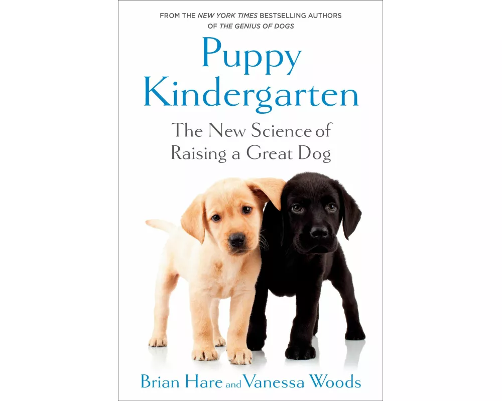 Puppy Kindergarten