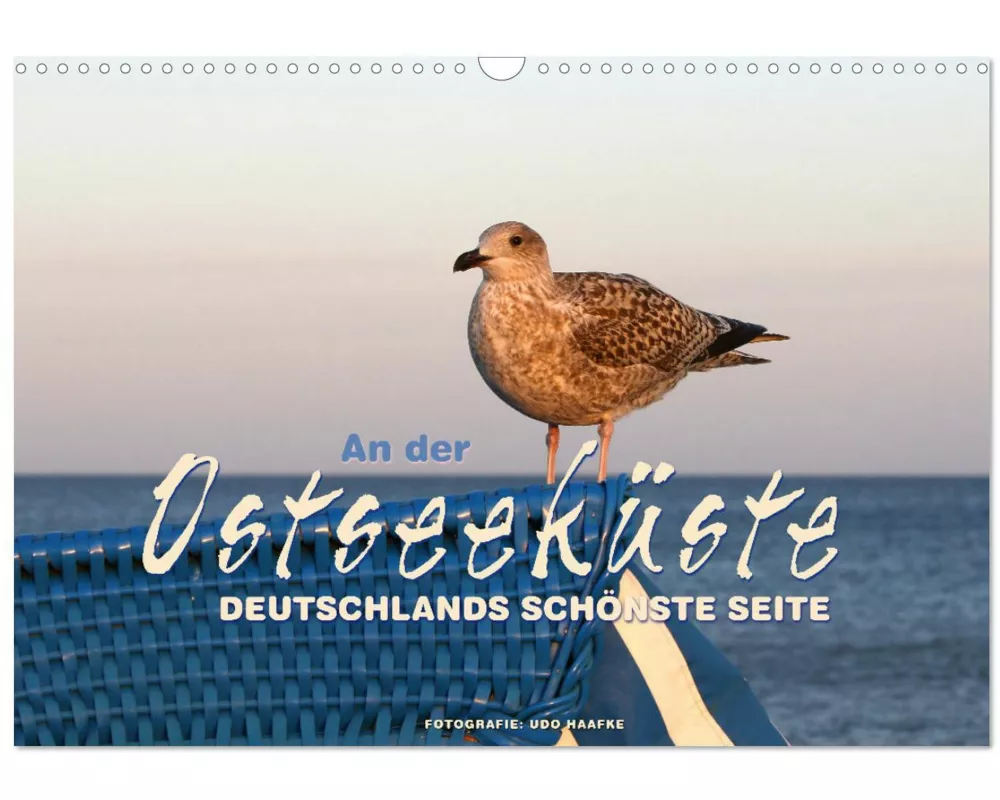 An der Ostseeküste - Deutschlands schönste Seite (Wandkalender 2026 DIN A3 quer), CALVENDO Monatskalender