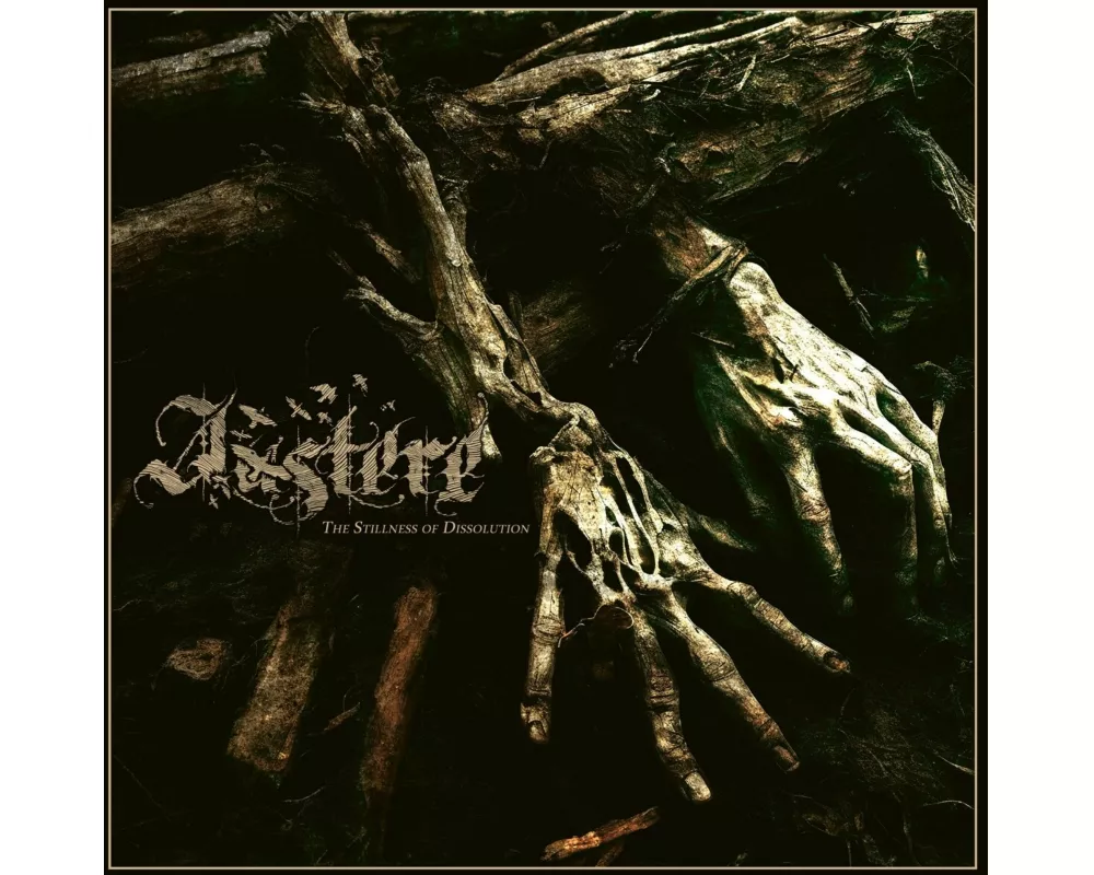 The Stillness Of Dissolution