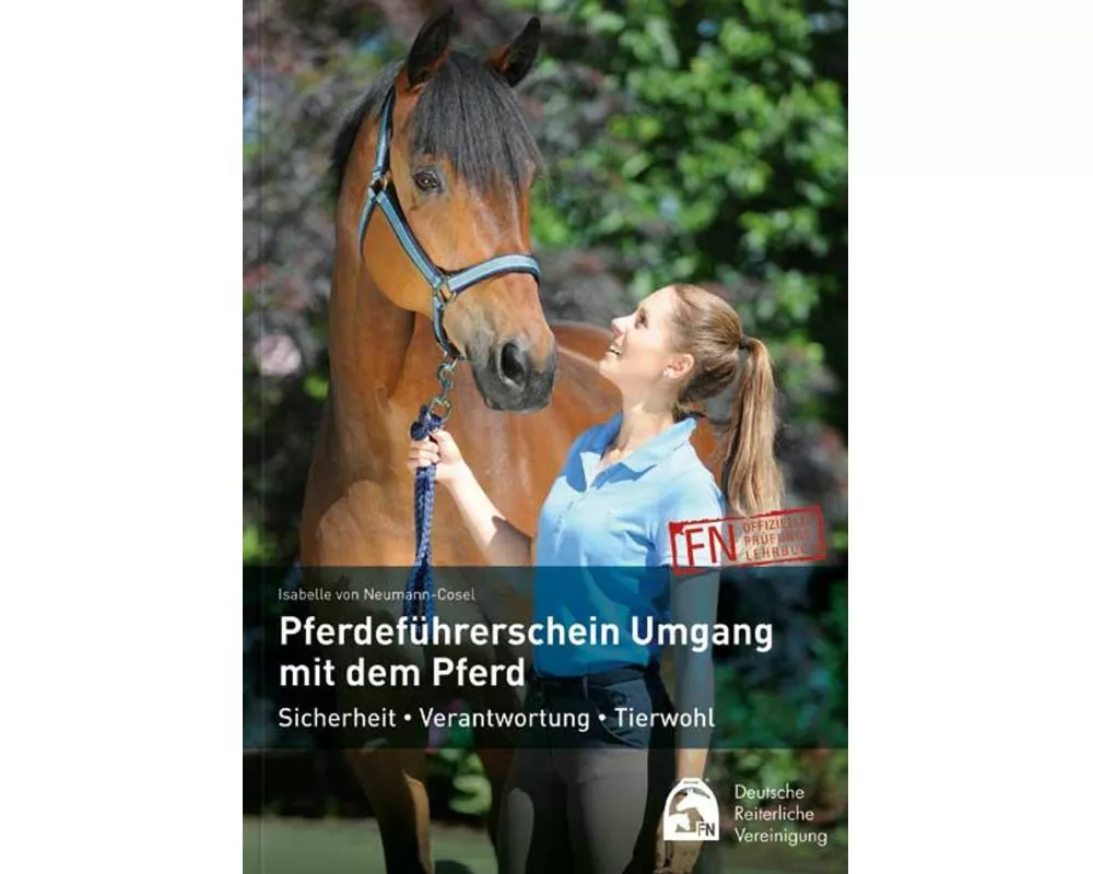 Pferdeführerschein Umgang mit dem Pferd
