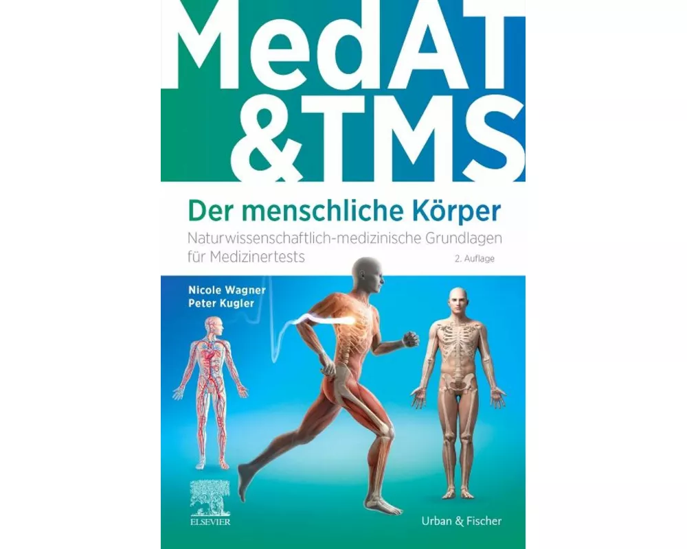 MedAT & TMS - Der menschliche Körper