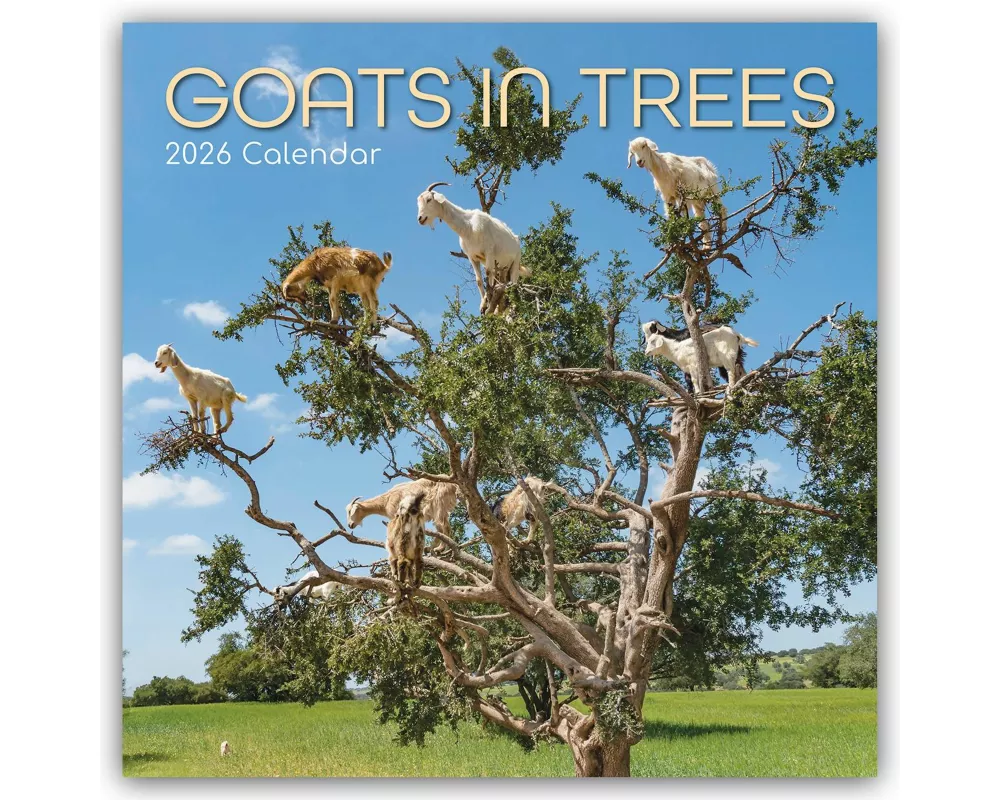 Goats in Trees - Ziegen auf Bäumen 2026 - 16-Monatskalender