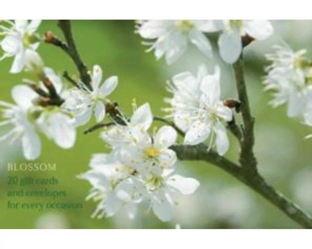 Card Box of 20 Notecards and Envelopes: Blossom