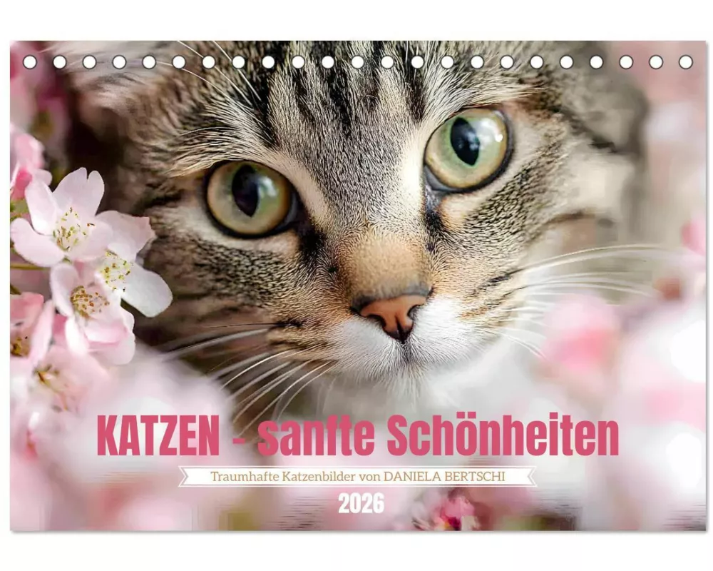 Katzen - sanfte Schönheiten (Tischkalender 2026 DIN A5 quer), CALVENDO Monatskalender