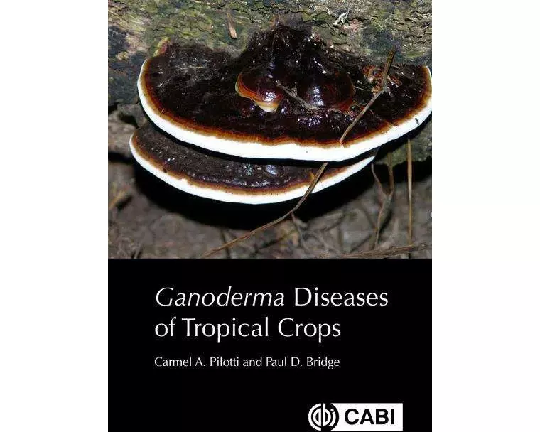 Ganoderma Diseases of Tropical Crops