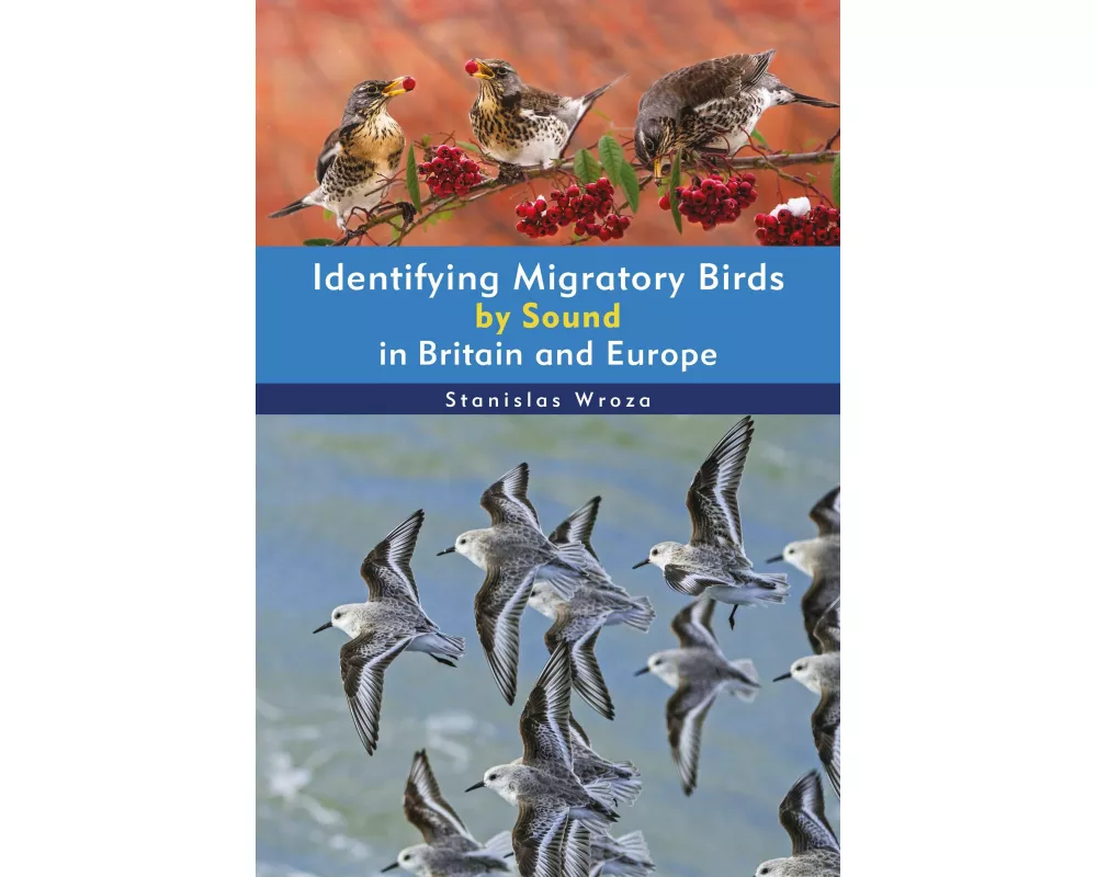 Identifying Migratory Birds by Sound in Britain and Europe