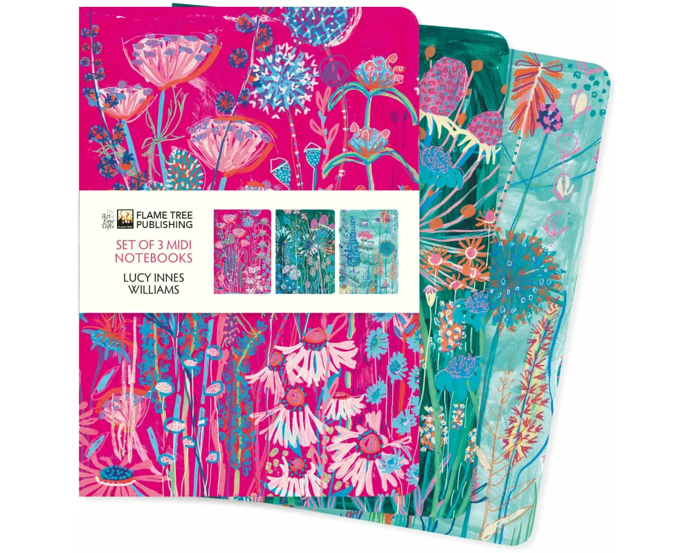 Lucy Innes Williams Set of 3 Midi Notebooks