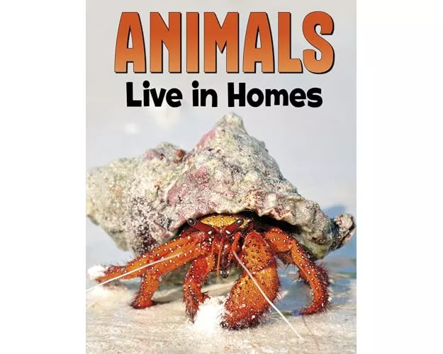Animals Live in Homes
