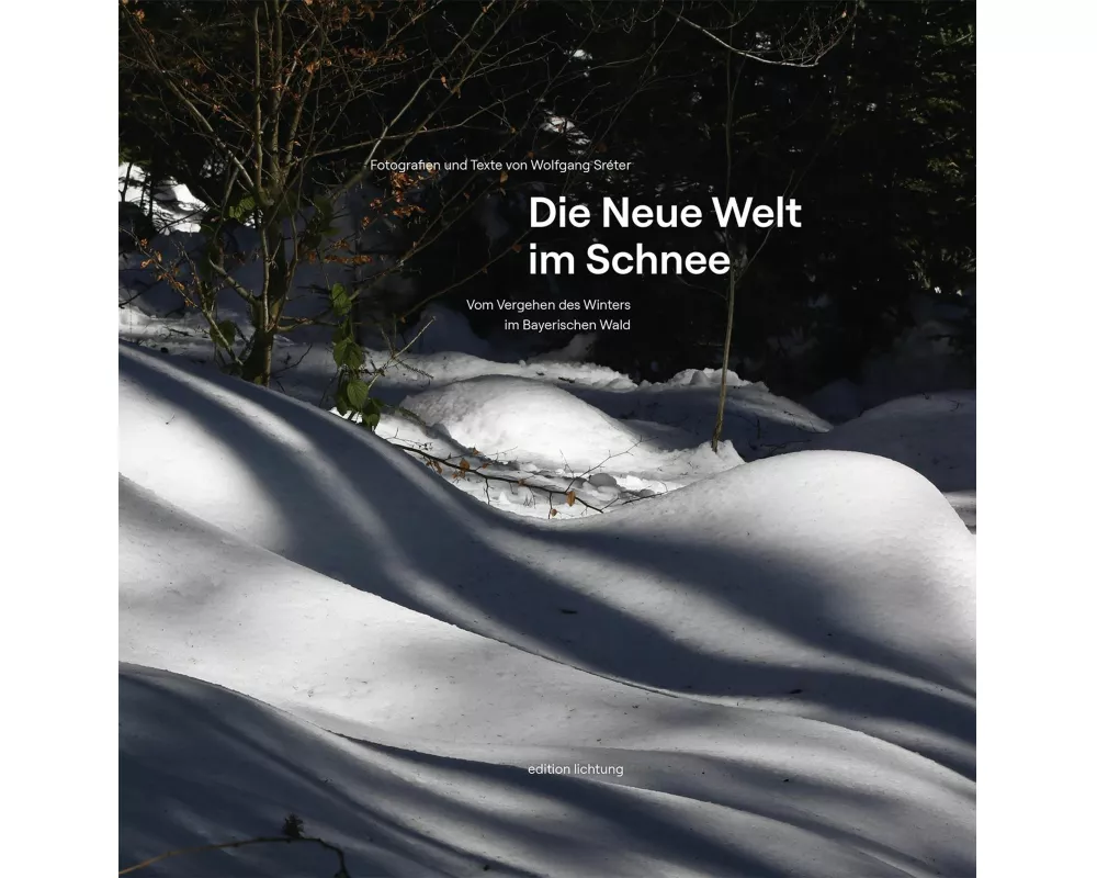 Die Neue Welt im Schnee