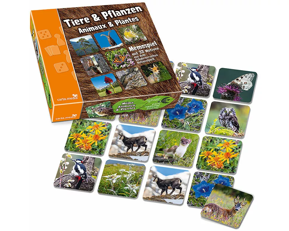 Tiere & Pflanzen Memo