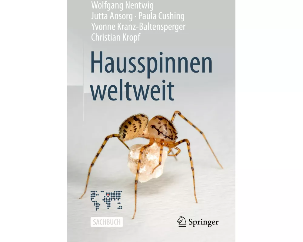 Hausspinnen weltweit