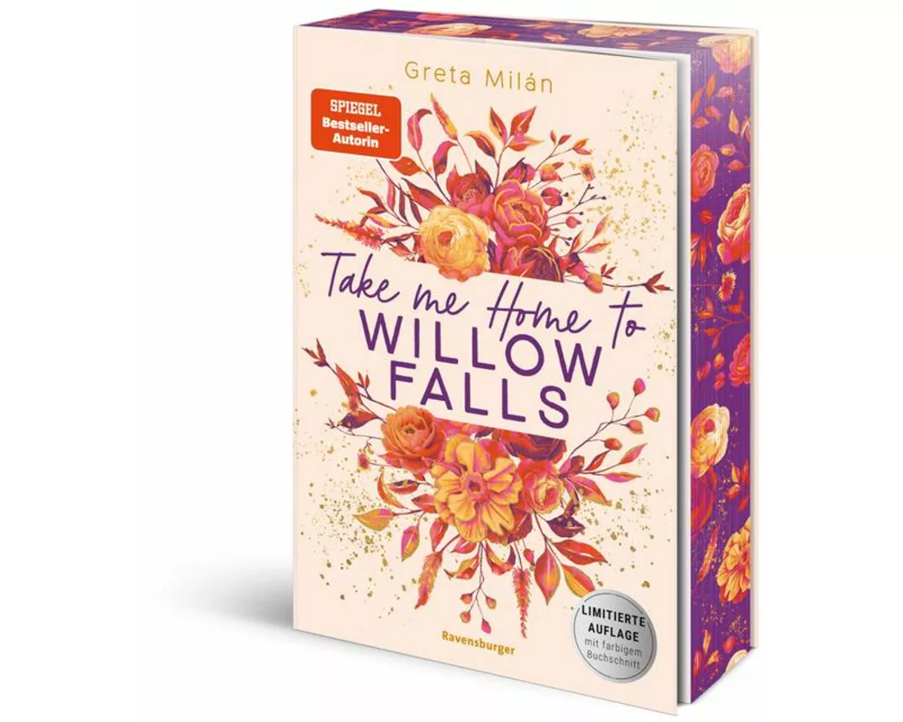 Willow-Falls-Reihe, Band 1 - Take Me Home to Willow Falls