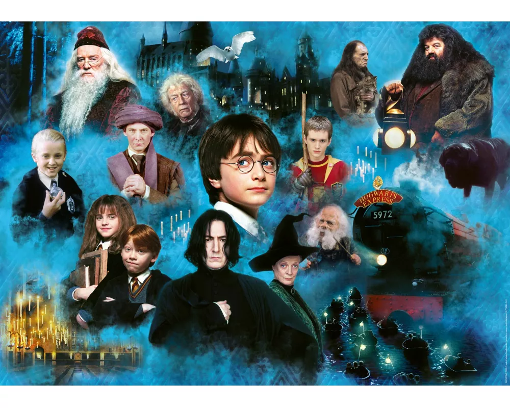 Erwachsenenpuzzle 1000 Teile - Harry Potters magische Welt