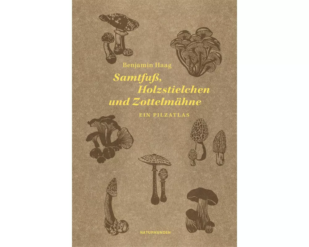 Samtfuß, Holzstielchen und Zottelmähne