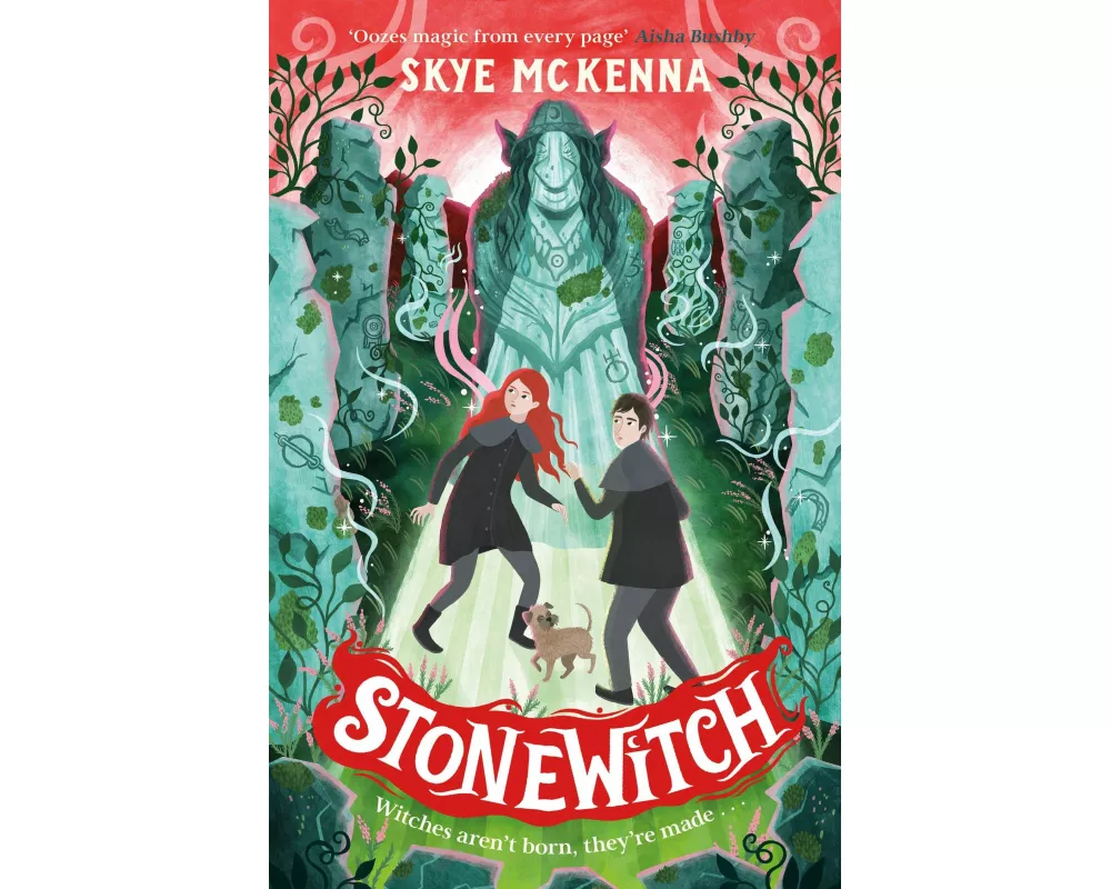 The New Famous Five: Hedgewitch: Stonewitch
