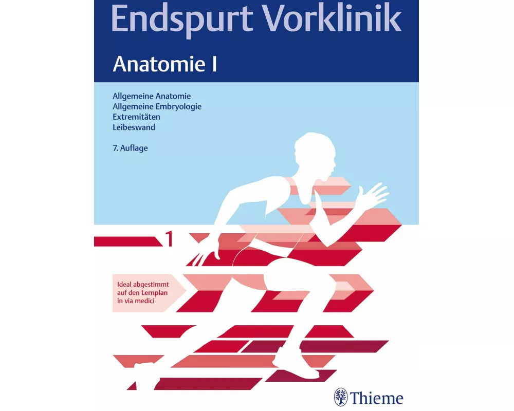 Endspurt Vorklinik: Anatomie I