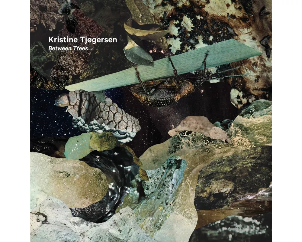 Kristine Tjogersen: Between Trees