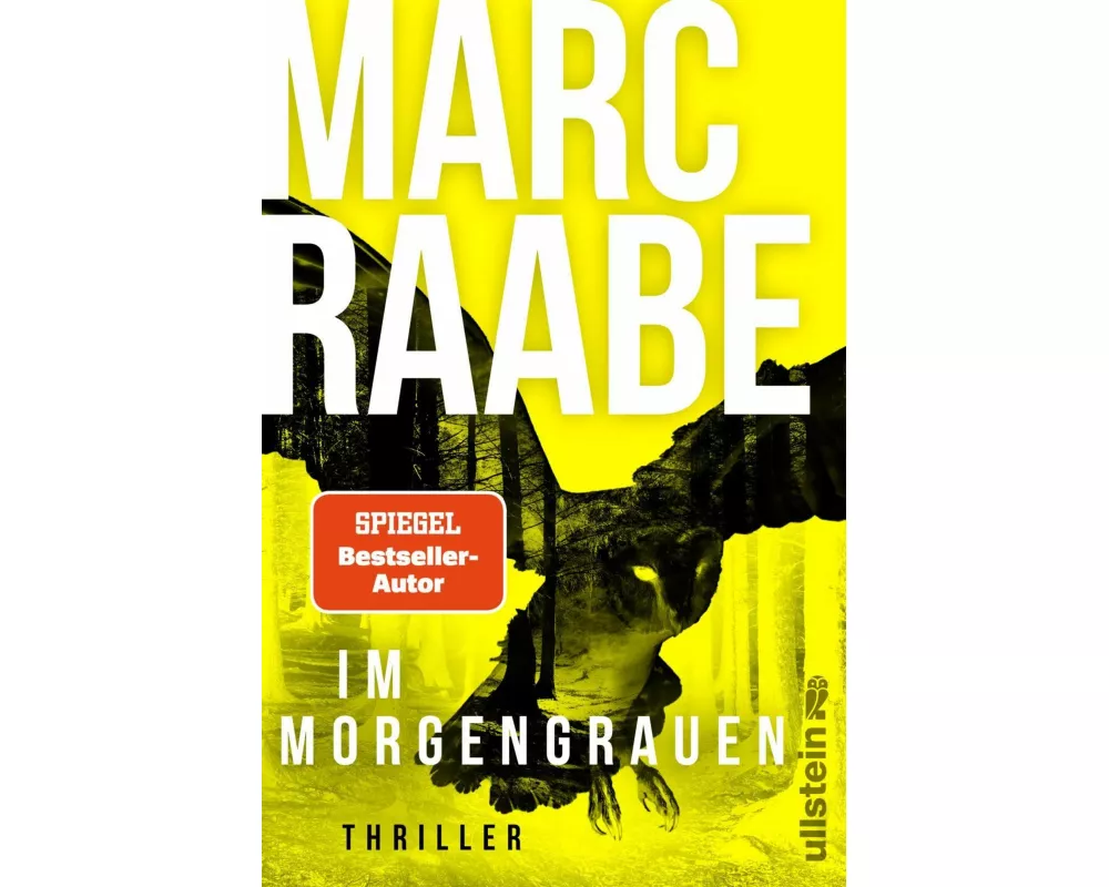 Im Morgengrauen (Art Mayer-Serie 4)