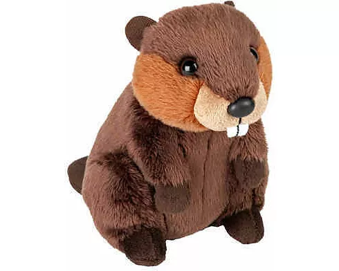 Plüsch Biber Pocketkins