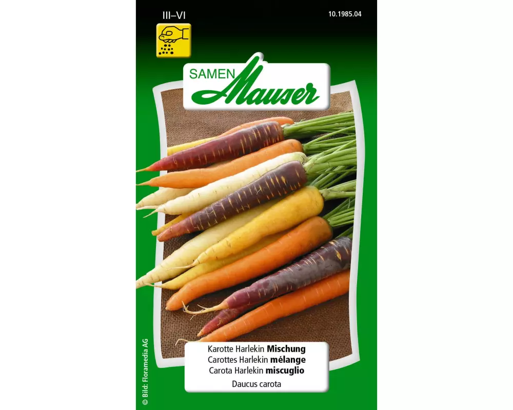 Samen Mauser Samen Karotte Harlekin Mischung