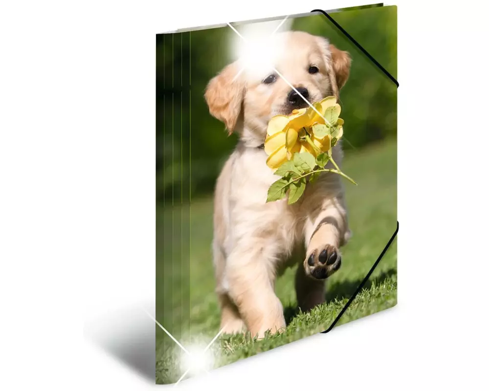 HERMA Gummibandmappe A4 Hunde, Polypropylen, mit Innendruck
