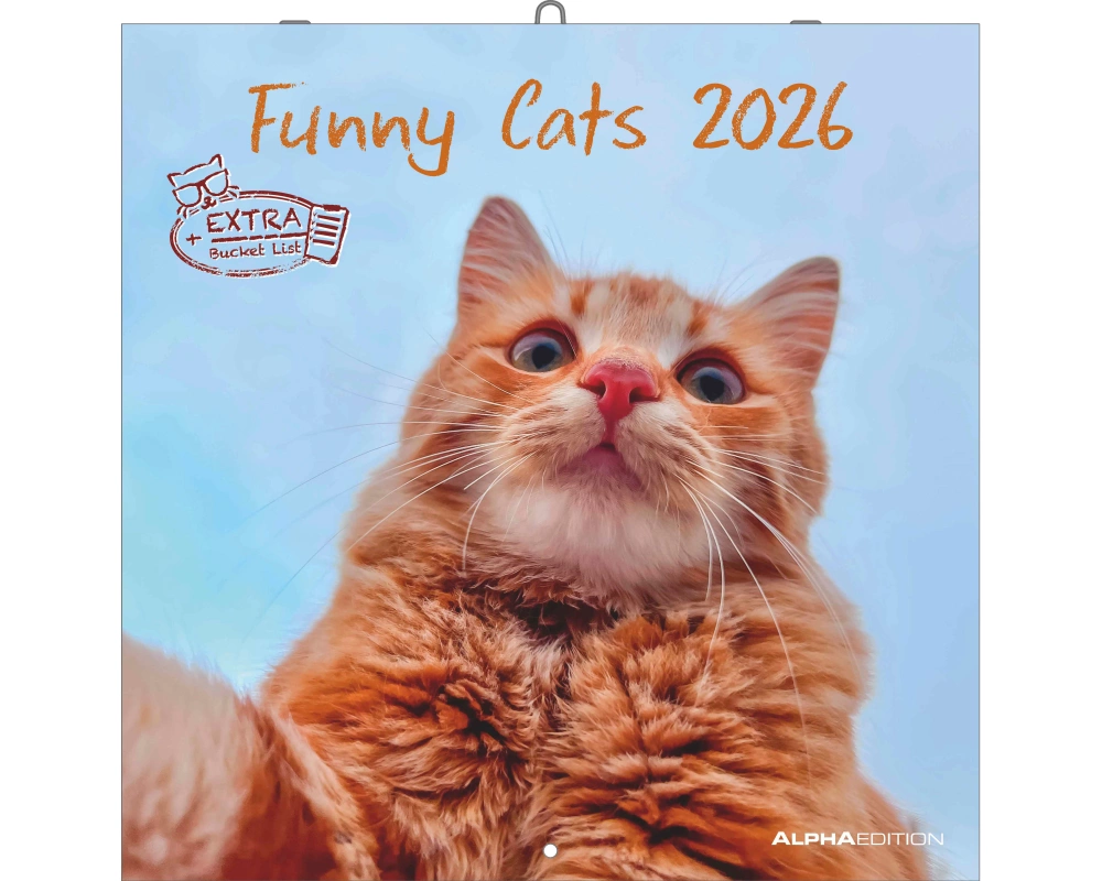 ALPHA EDITION Bildkalender 2026 160939 Funny Cats ML 30x30cm