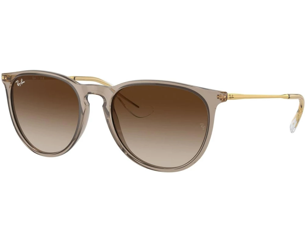 Ray-Ban Sonnenbrille Erika Classic Schwarz/Grün