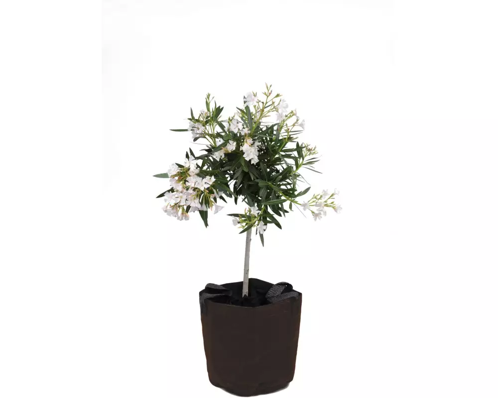 Colibri Frostschutz Topf, Ø 65 x 70 cm, Braun