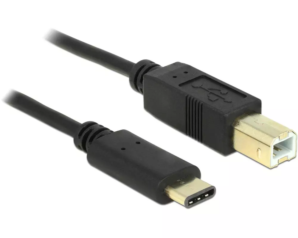 Delock USB 2.0-Kabel USB-C - USB-B 2 m