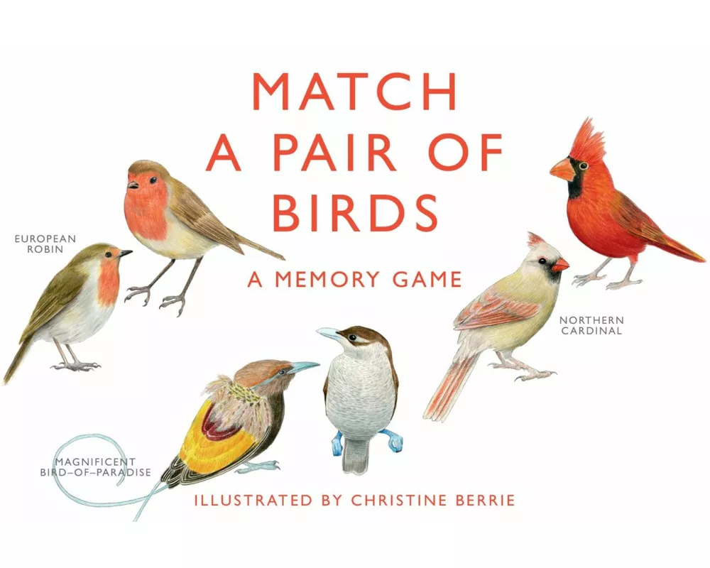 Match a Pair of Birds