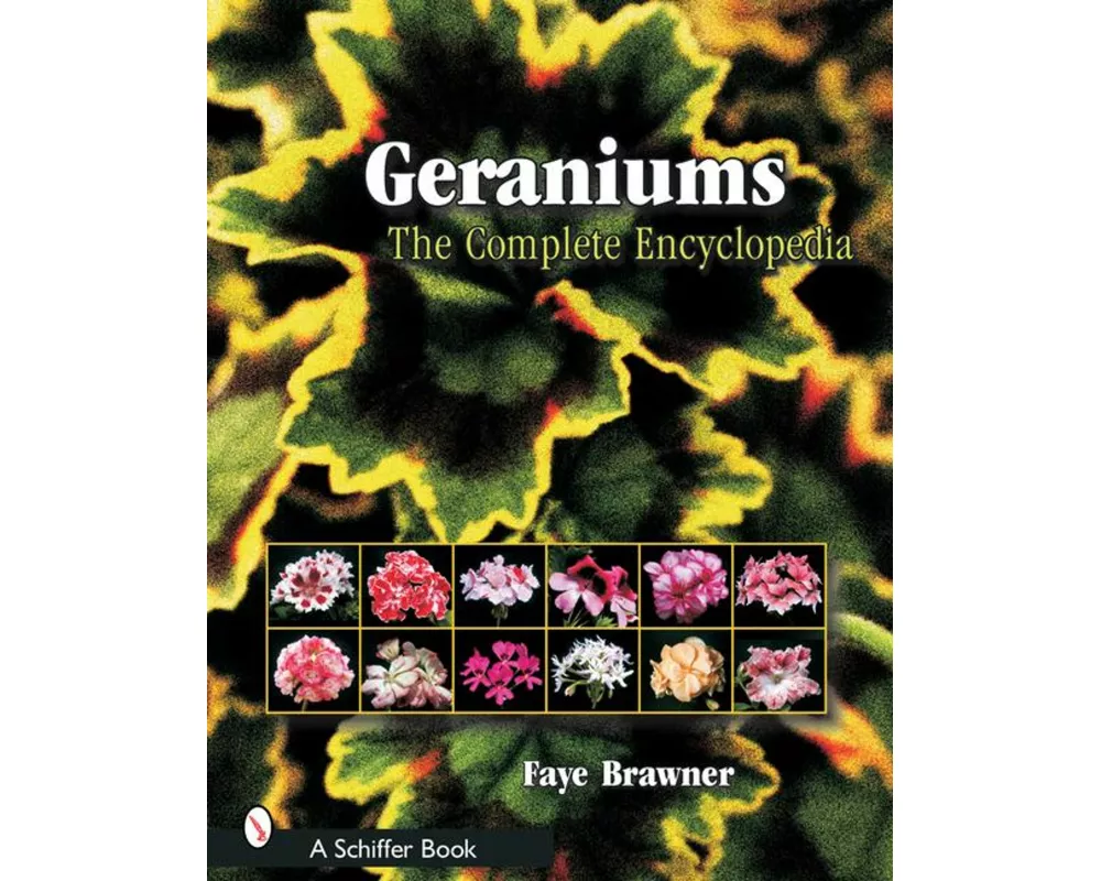Geraniums