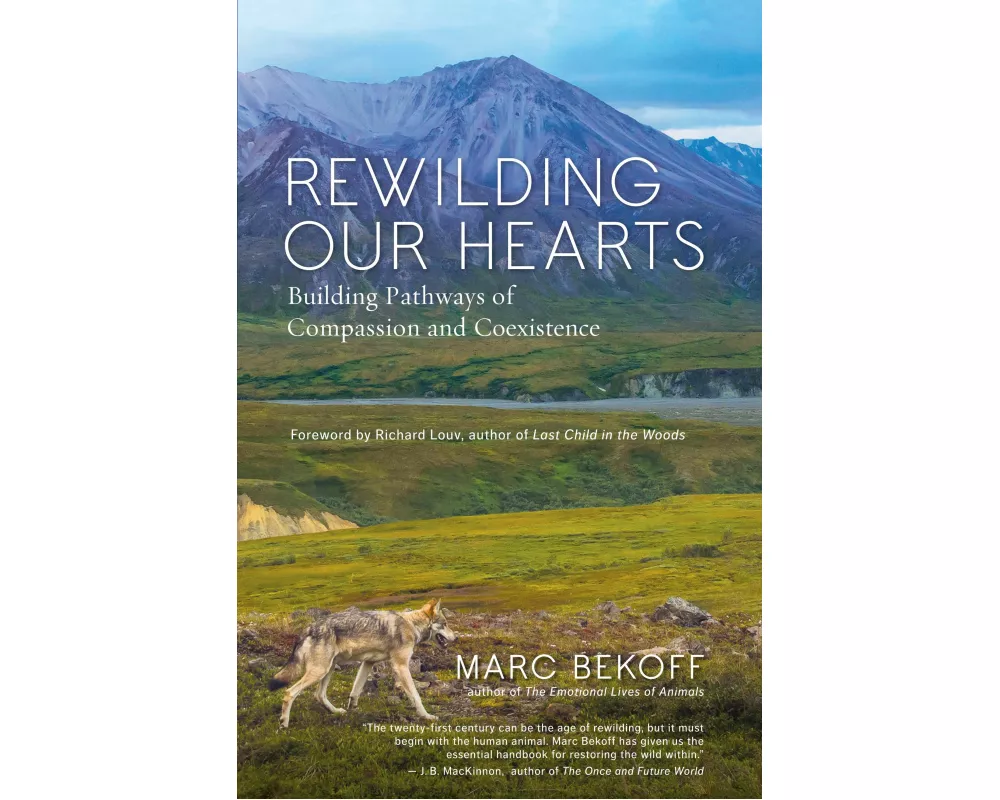 Rewilding Our Hearts