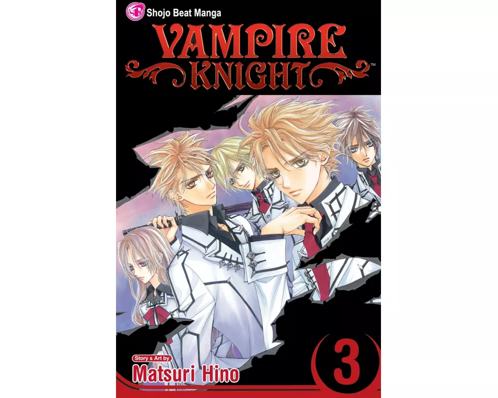 Vampire Knight, Vol. 3