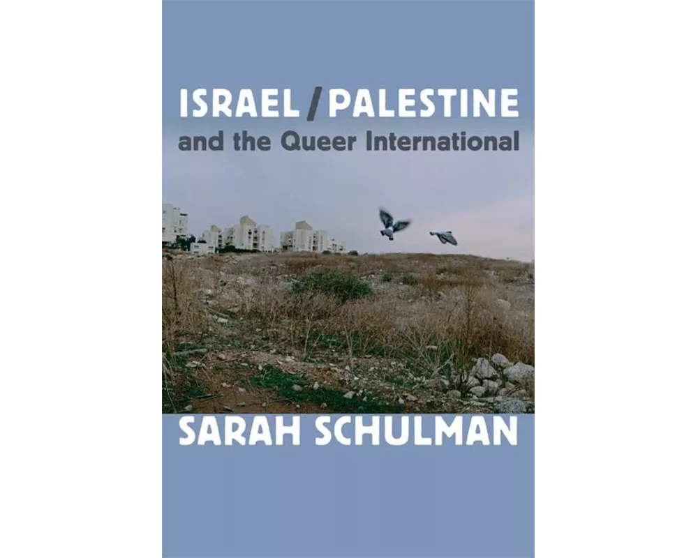 Israel/Palestine and the Queer International