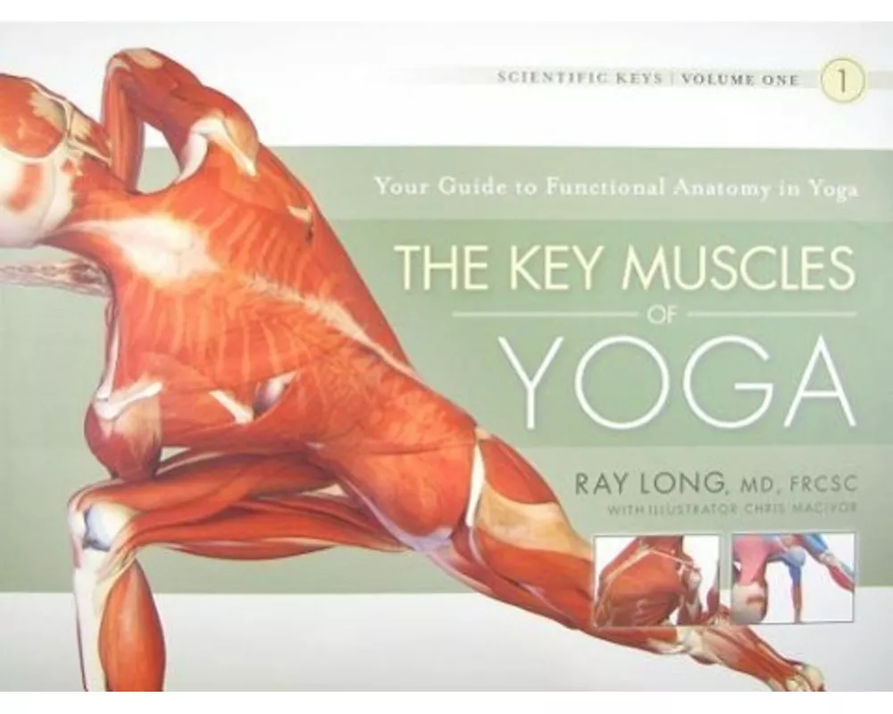 Key Muscles of Yoga