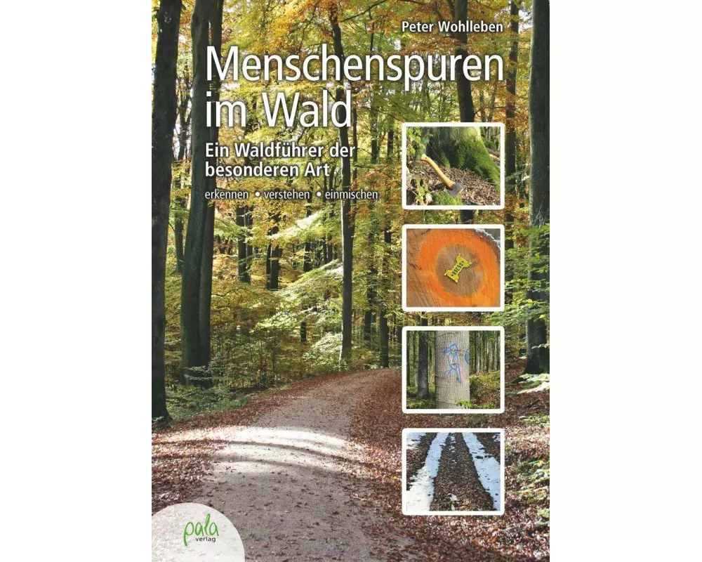 Menschenspuren im Wald