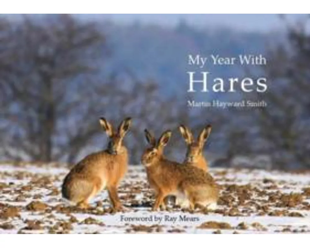 Robert Gillmor's Norfolk Bird Sketches