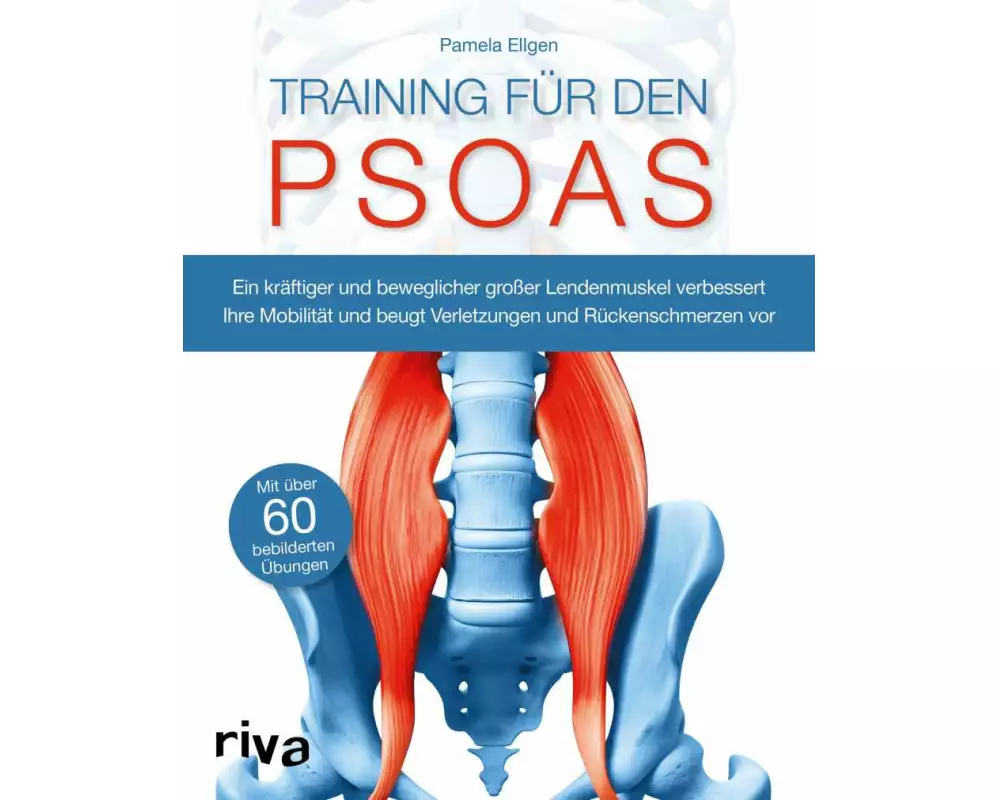 Training für den Psoas