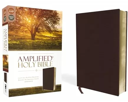 Amplified Holy Bible, Bonded Leather, Burgundy